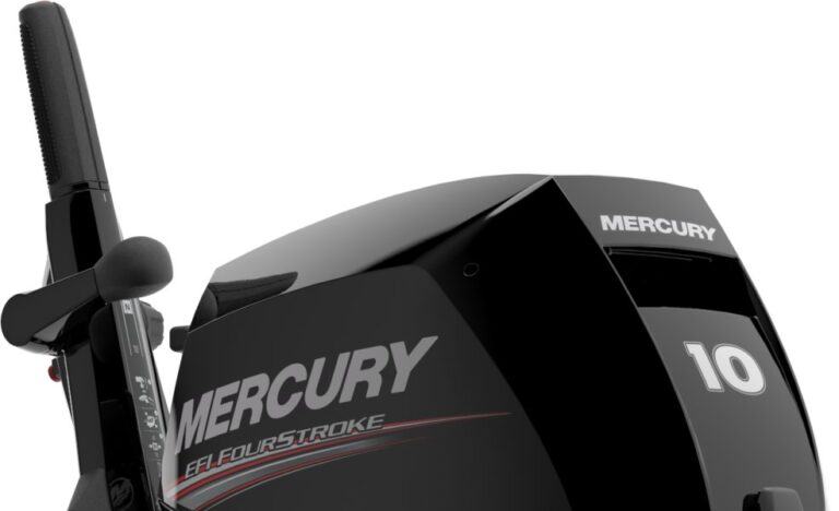 Mercury F 10 MH/MLH EFI
