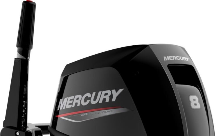 Mercury F 8 ELH EFI