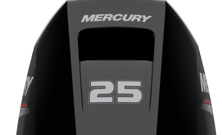 Mercury F 25 E/EL EFI